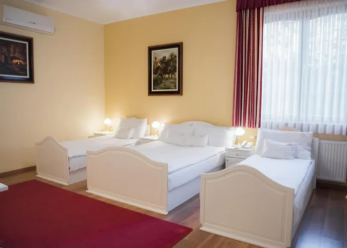 Vinum Hotel 4*
